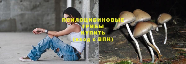 бошки Нижний Тагил