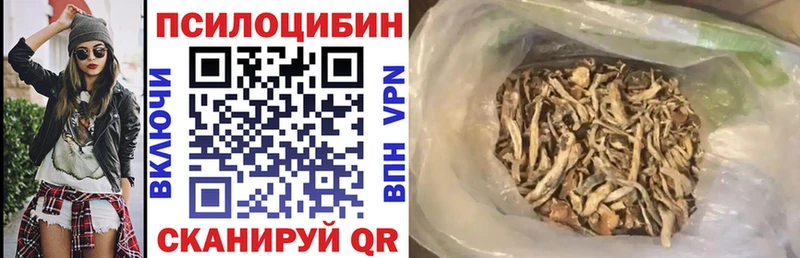 Галлюциногенные грибы мицелий  Купить  Пустошка 