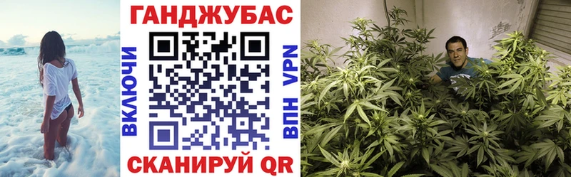 Бошки марихуана AK-47  Купить закладки  Пустошка 